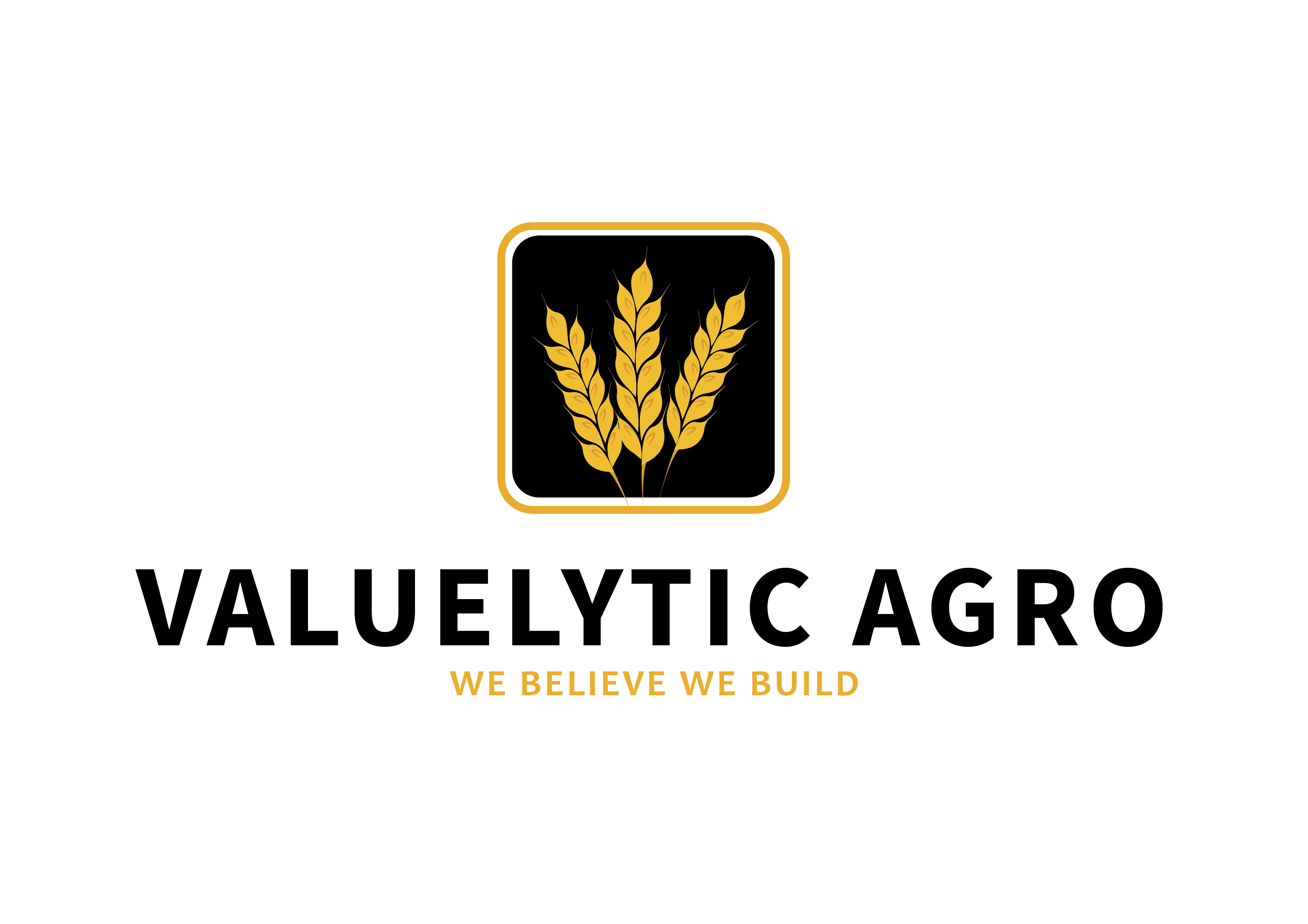 Valuelytic Agro Pvt Ltd