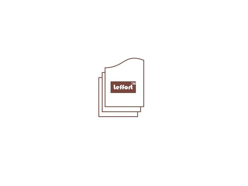LEFFORT STATIONERIES PRIVATE LIMITED