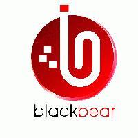 BLACK BEAR TECHNOLOGIES PVT LTD