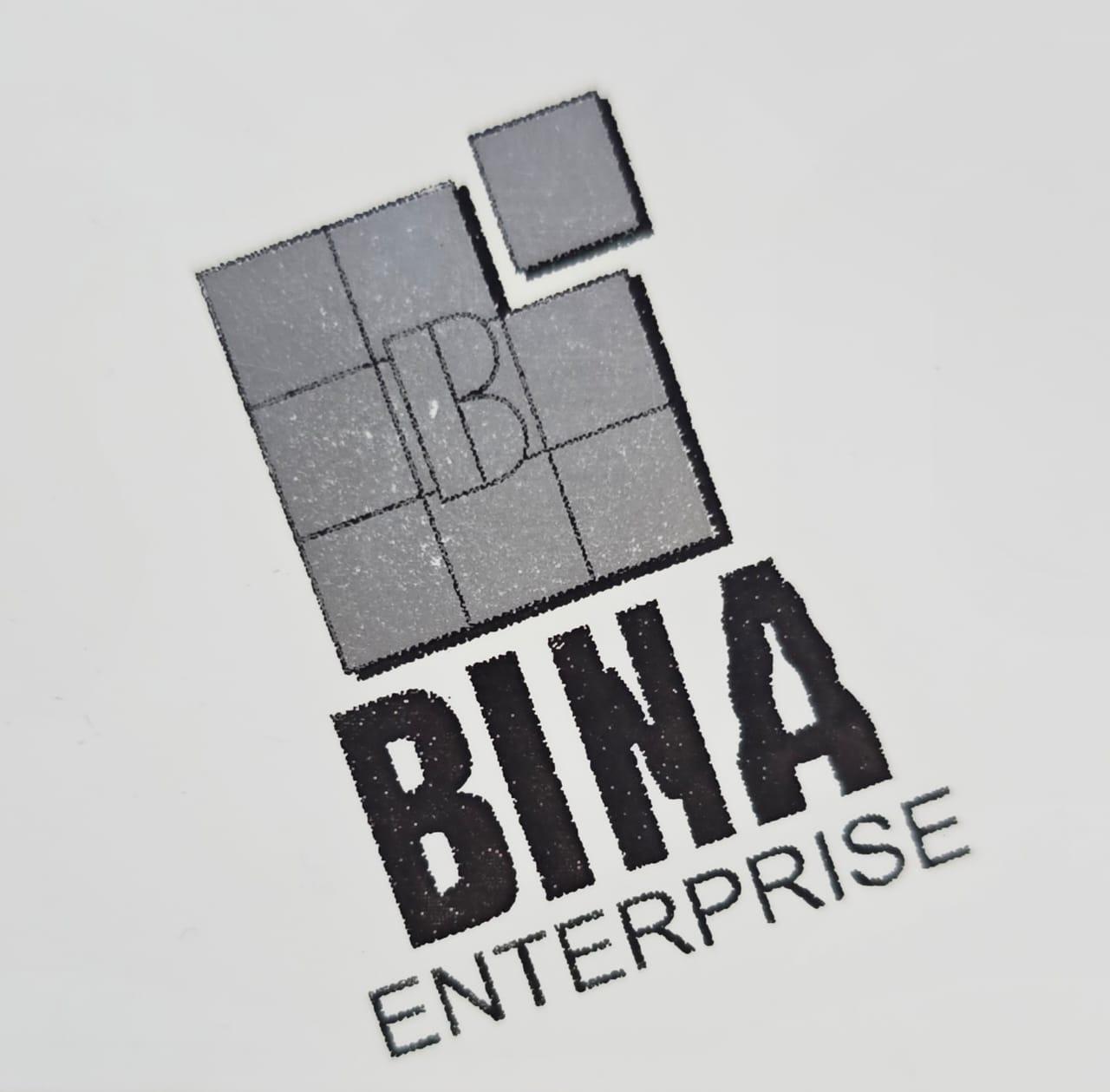 Bina Enterprises