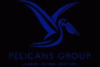 Pelicans Automotive And Promotional Product Pvt. Ltd.