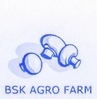 BSK AGRO FARM