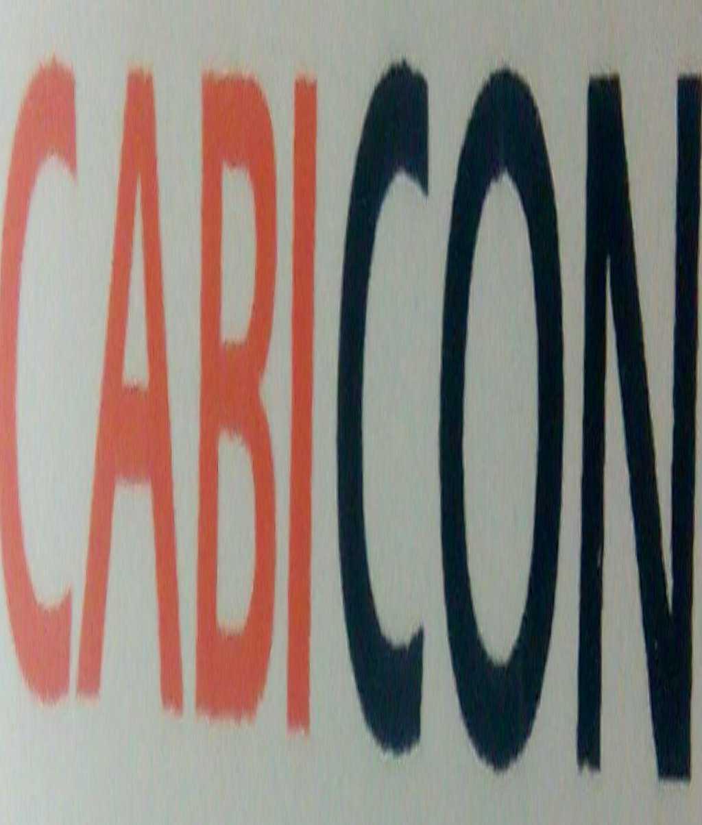 CABICON BOX AND LORRY SERVICES PVT. LTD.
