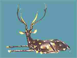 Brass Statue - Deer