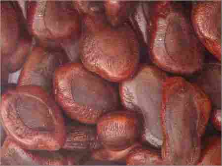 Tamarind Seeds (Tamarindus Indica)