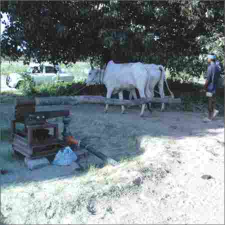 Cattle Powered Agriculture / Irrigation Pumps