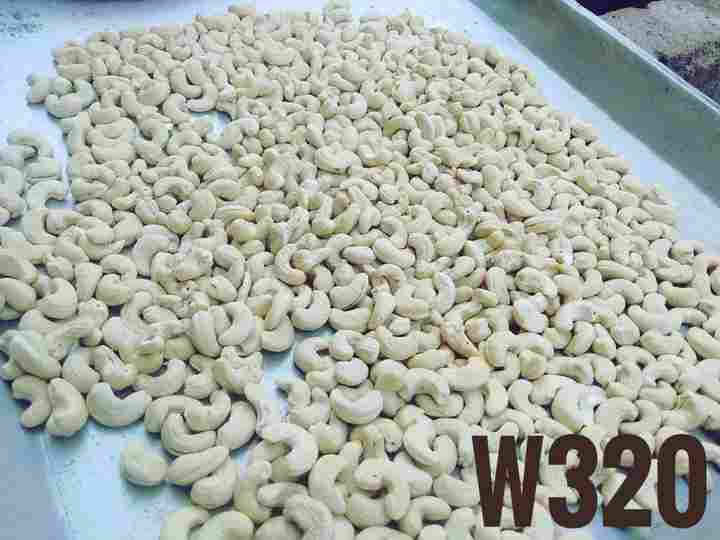 100% Organic W320 Cashew Nut