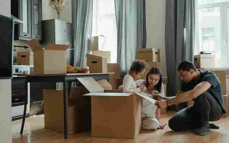 Professional Packers Movers