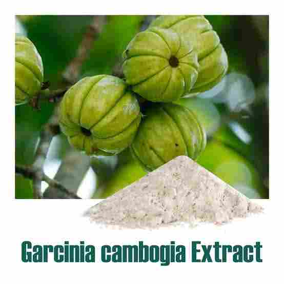 Natural Gercinia Combosia Extract
