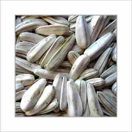 Healthy And Nutritious Sunflower Seeds