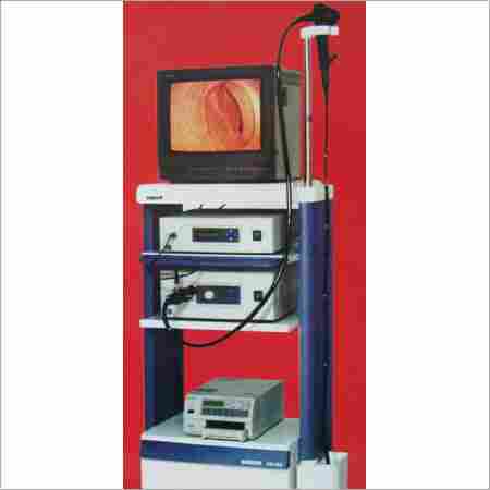 Electronic Video Endoscope
