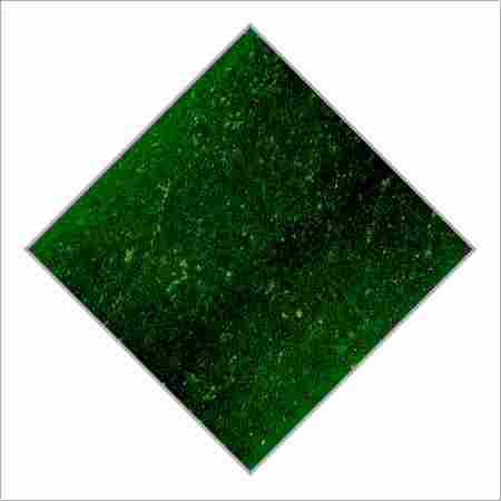 Ceewood Green Granite Slabs