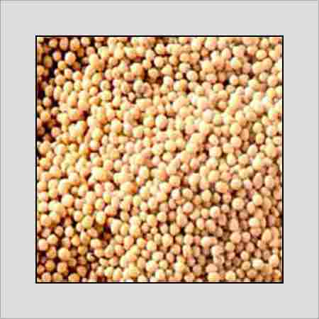 Mustard Seed (Sarso beej)