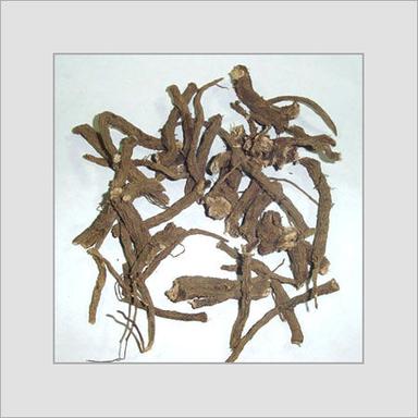 Coleus Forscohlii Dry Extract