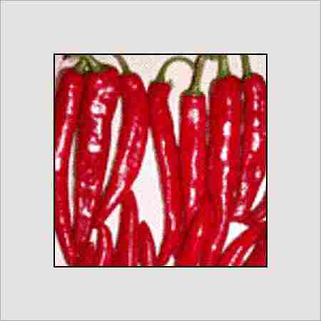High Grade Dried Red Chilly