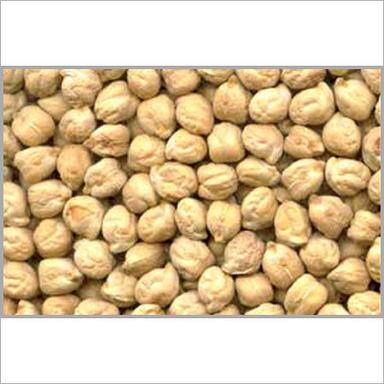 White Organic Chick Peas Grade: Food