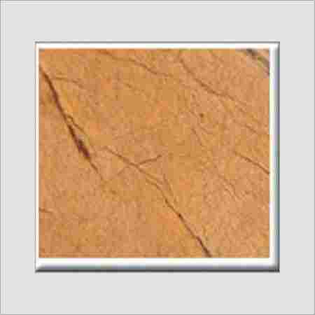 Rain Forest Gold Sandstone