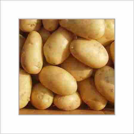 Fresh Indian Origin Potatoes