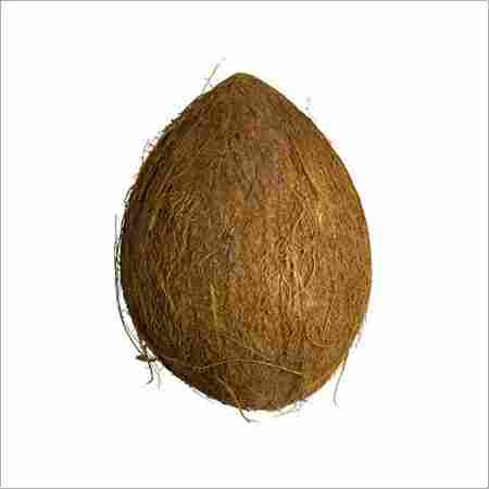 Natural Fresh Whole Coconut