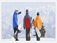 New York Alps Tour Packages Services