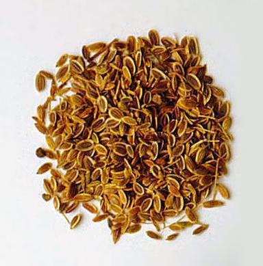 Common Indian Dill Seed