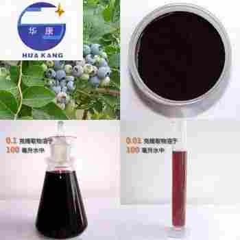 Blueberry Fruit Powdered Extract