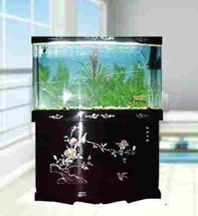 Paint Aquarium