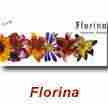 Florina Perfumed Incense Sticks