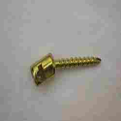 Polyaxial Screw Titanium