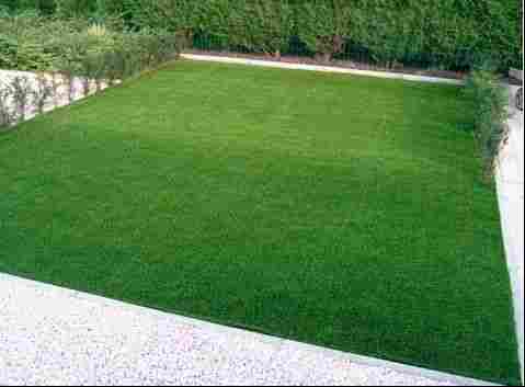 Beautiful Artificial Grass For Lawns, Landscapes