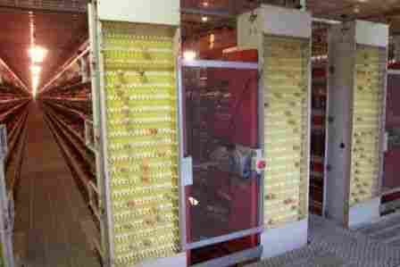 Battery Cage Poultry Equipment