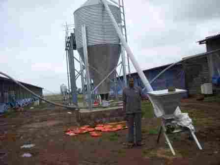 Feed Silo For Poultry Farms