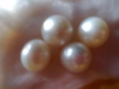 Natural And Pure Philippine Pearls