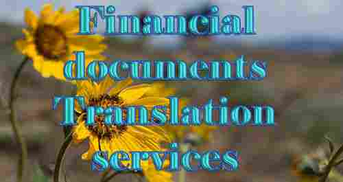 Financial Documents Translation Services