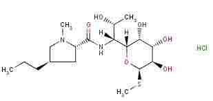 Lincomycin Hydrochlorides