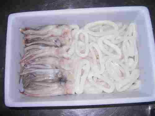 Frozen Squid R+T