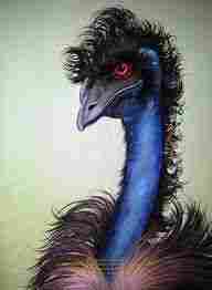 EMU Bird