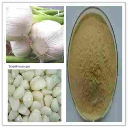 Pure Natural Garlic Extract
