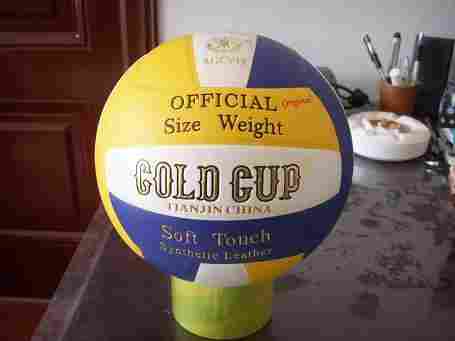 Original Gold Cup Volleyball