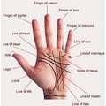 Vaastu Palmistry Services