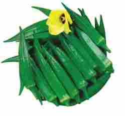 Bhindi Pramukh Vegetable Seed