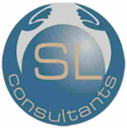 Business Management Consultant