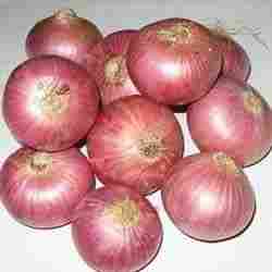 Red Onion