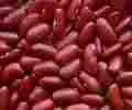 Red Kedney Beans