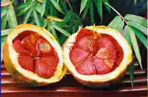 GAC (Momordica) Fruit