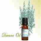 Davana Oil (Artemisia Pallens)