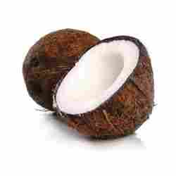 Kalish Coconut
