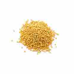 Yellow Mustard Seed