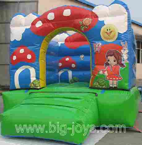 Inflatable Small Bouncer