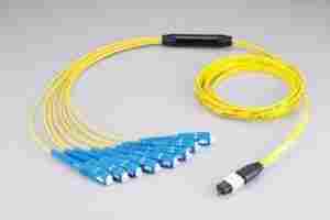 MPO 8 SC Fiber Optic Patch Cord